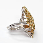 Load image into Gallery viewer, Fancy Color Diamonds in 18K White Gold Ring
